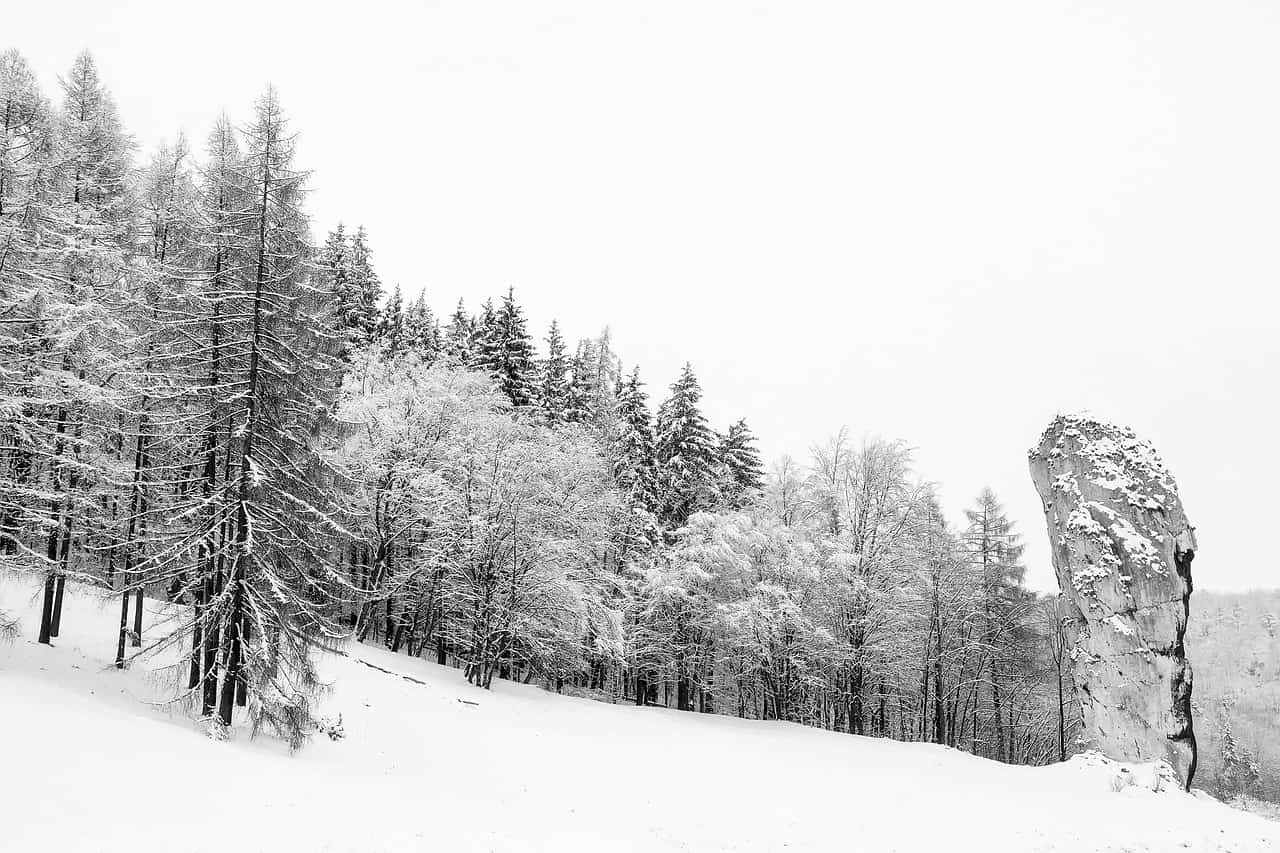 poland 1988077 1280