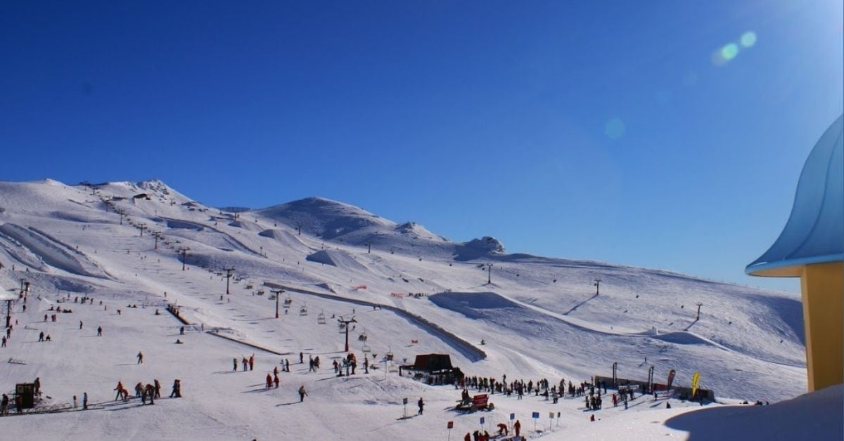 Cardrona