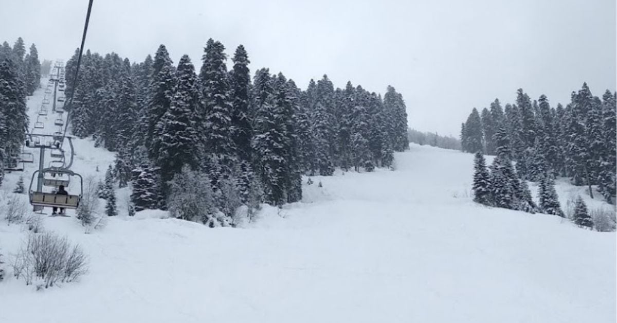 Hatsvali
