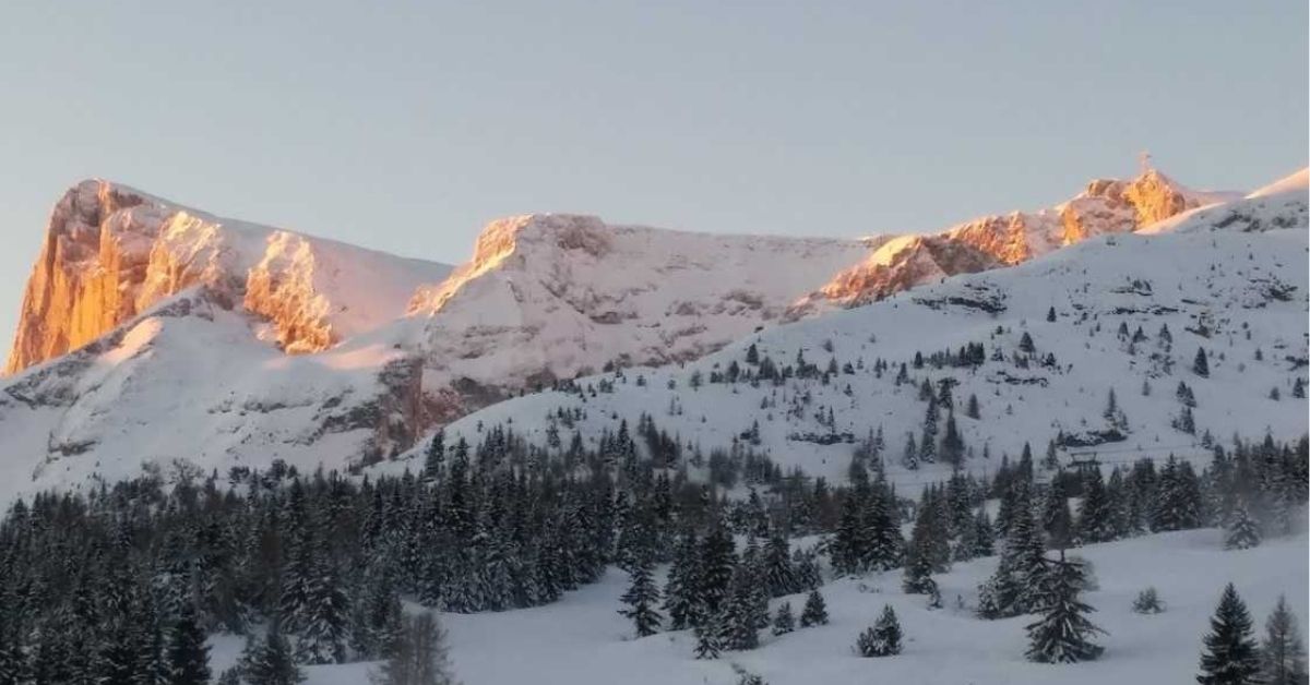 La Joue de Loup