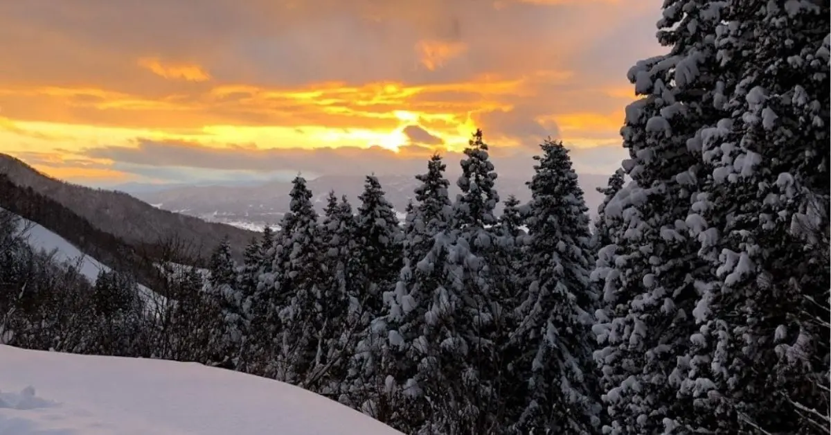 Nozawa Onsen